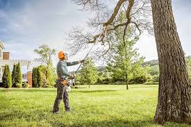 Why Choose Our Tree Removal Services in Monroe Manor, NJ?